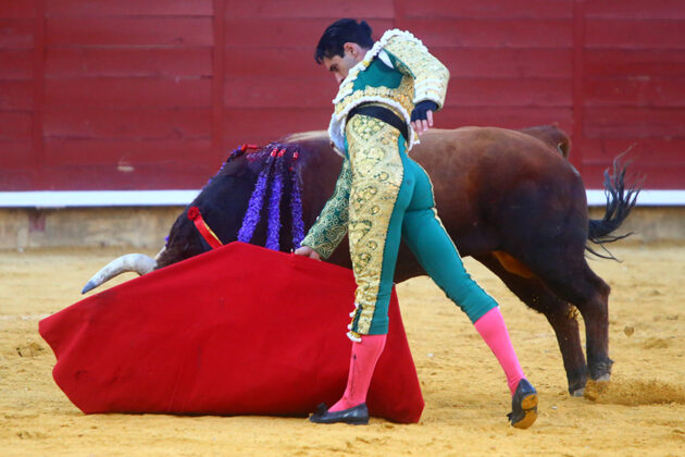 Toros en Palencia San Antolín 3 septiembre 2022