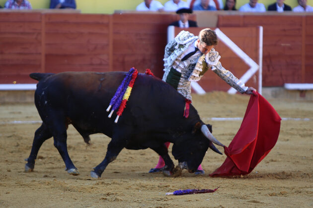 Toros en Palencia San Antolín 3 septiembre 2022