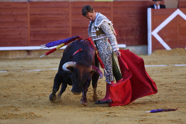 Toros en Palencia San Antolín 3 septiembre 2022