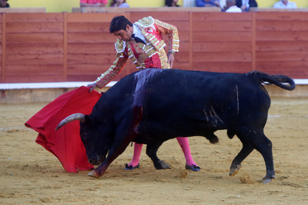 Toros en Palencia San Antolín 3 septiembre 2022