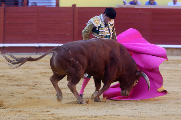 Toros en Palencia San Antolín 3 septiembre 2022