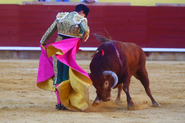 Toros en Palencia San Antolín 3 septiembre 2022