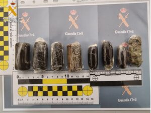 Guardia Civil Moraleja