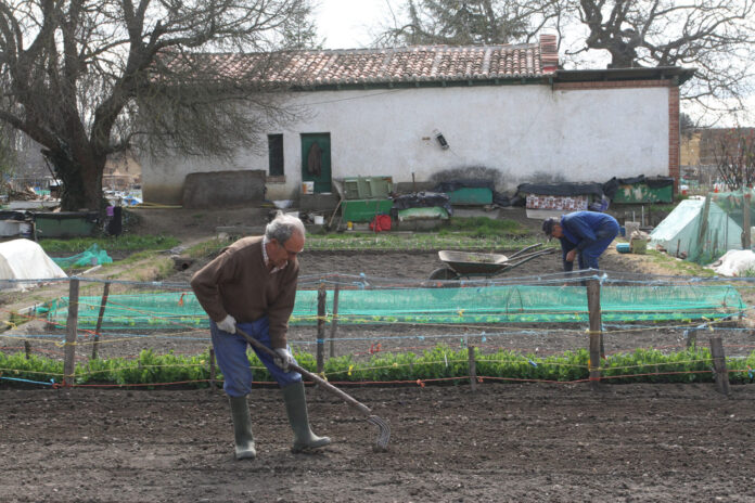 Unidas Podemos Palencia valora los PGE conseguidos por su formación