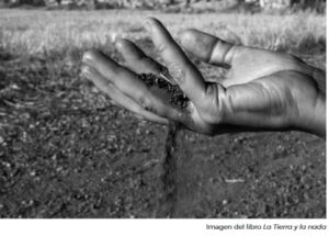 cultura programa Junta Palencia