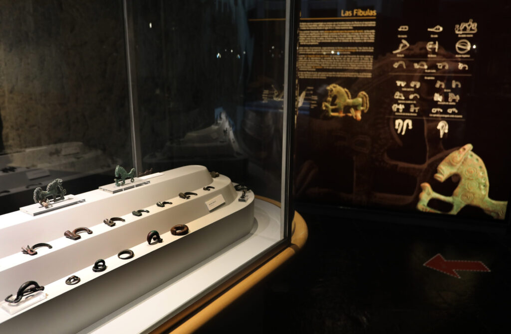 Museo de Palencia