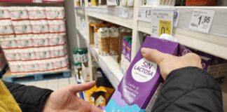 Lactosa, gluten y dietas veganas, aspectos de la alimentación actual