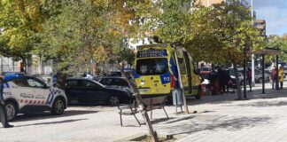 Tratan de reanimar sin éxito a un varón en la avenida de Asturias de Palencia