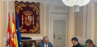Comisión de Asistencia al Subdelegado del Gobierno