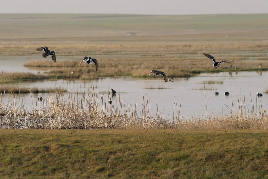 laguna la nava