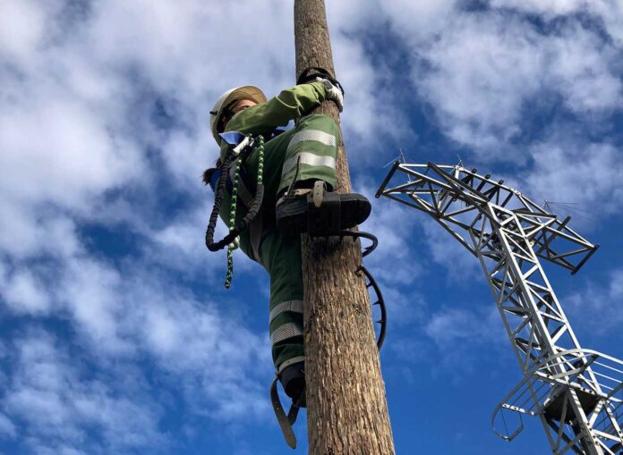 la joven palentina Irene Cañibano trabajando en el tendido eléctrico