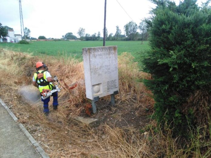 139-localidades-palentinas-se-beneficiaron-Plan-provincial-Empleo-de-Limpieza-Forestal