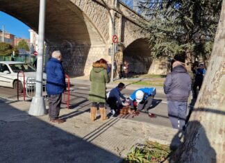 Atropellada-una-mujer-87-años-bajo-la-pasarela-de-Villalobón-de-Palencia