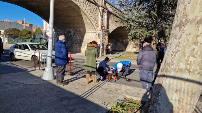 Atropellada-una-mujer-87-años-bajo-la-pasarela-de-Villalobón-de-Palencia