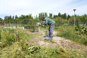 Herrera-de-Pisuerga-busca-vecinos-que-quieran-ser-hortelanos