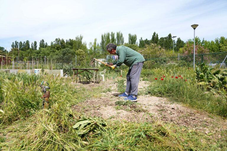 Herrera-de-Pisuerga-busca-vecinos-que-quieran-ser-hortelanos