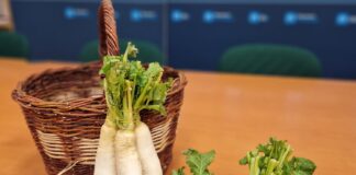 Monzón-busca-una-marca-de-calidad-para-'su'-nabo