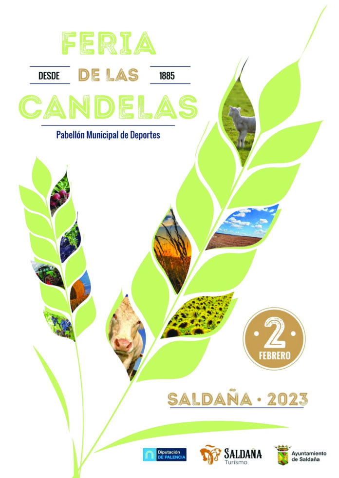 cartel candelas saldaña