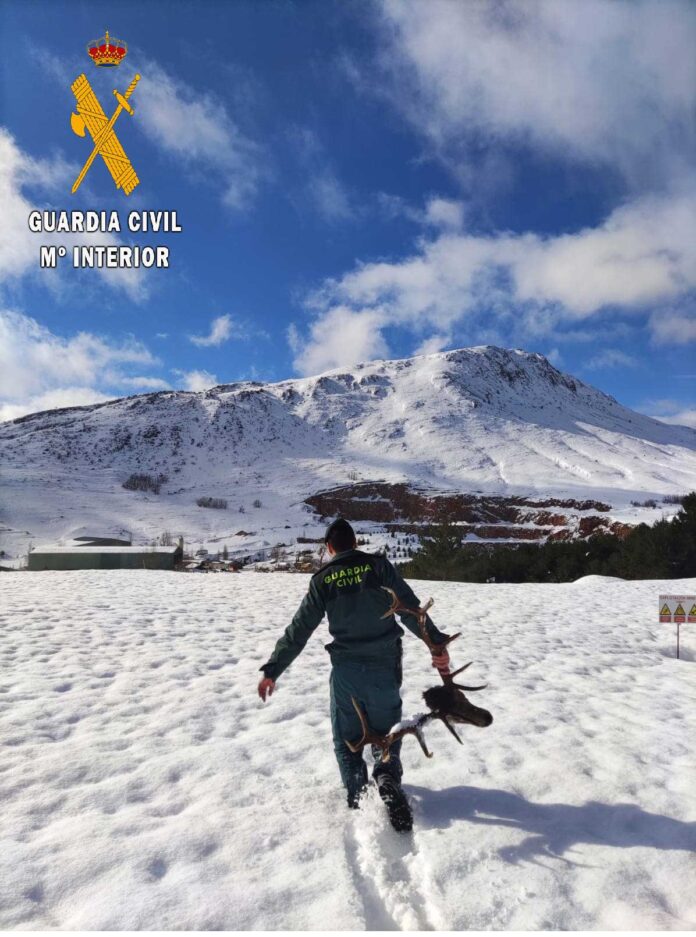 la guardia civil denuncia a 2 cazadores en velilla de la peña