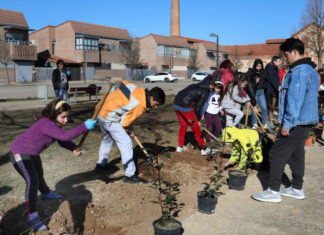 Plantar árboles en Villamuriel de Cerrato