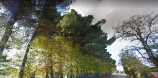 De-Palencia-Villamuriel-solo-por-la-autovía