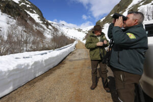Esto-es-cuesta-cazar-rebeco-ciervo-Fuentes Carrionas-e
