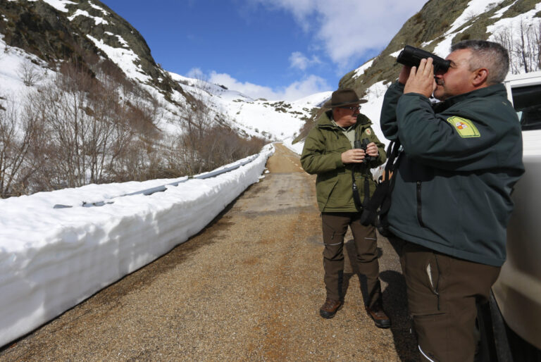 Esto-es-cuesta-cazar-rebeco-ciervo-Fuentes Carrionas-e