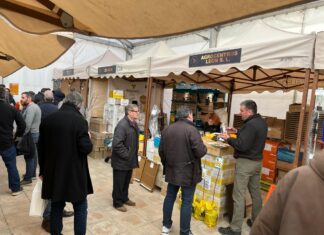 IV Feria Apícola Palencia