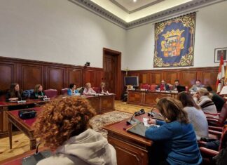 Consejo Provincial de la Mujer Diputación de Palencia