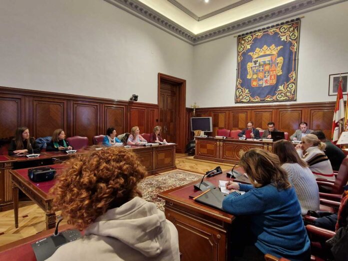 Consejo Provincial de la Mujer Diputación de Palencia