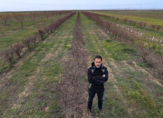 Director del ITAGRA, Asier Saiz, en la explotación agrícola de referencia cercana a la capital palentina donde se experimenta con almendros y olivos - Brágimo ICAL