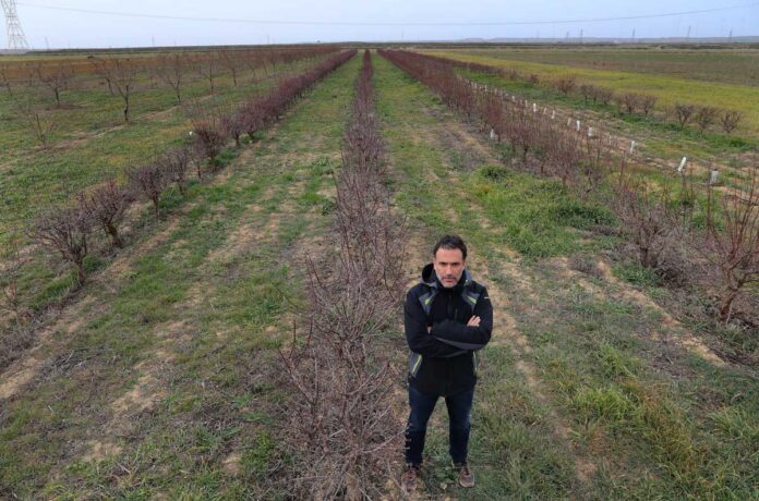 Director del ITAGRA, Asier Saiz, en la explotación agrícola de referencia cercana a la capital palentina donde se experimenta con almendros y olivos - Brágimo ICAL