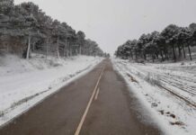 Nieve en las carreteras palentinas este jueves 23 de febrero de 2023