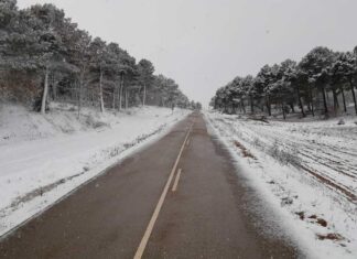 Nieve en las carreteras palentinas este jueves 23 de febrero de 2023