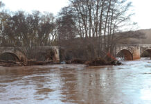 río Arlanza a su paso por Quintana del Puente