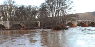 río Arlanza a su paso por Quintana del Puente