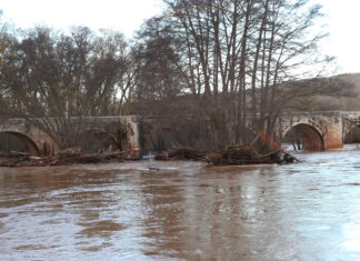 río Arlanza a su paso por Quintana del Puente