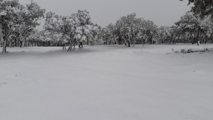 ¿La-Laponia-Finlandesa-No-Monte-nevado-Palencia-(Galería)-ze