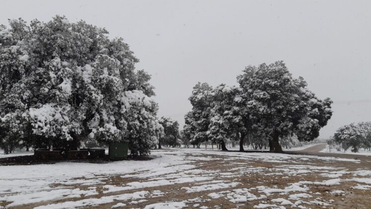 ¿La-Laponia-Finlandesa-No-Monte-nevado-Palencia-(Galería)-ze