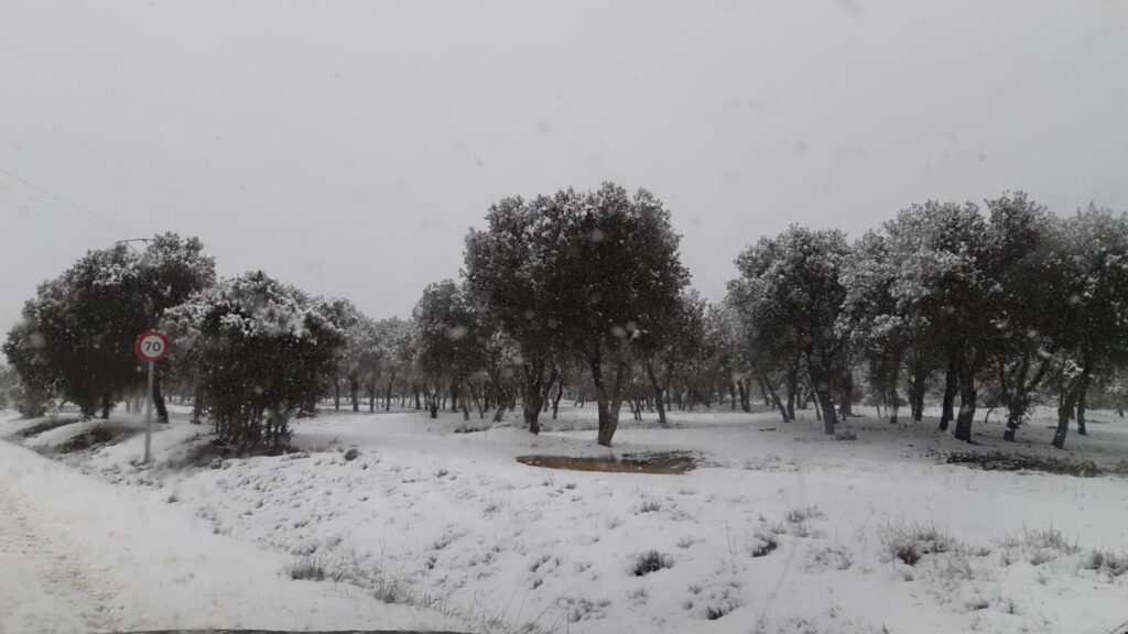 ¿La-Laponia-Finlandesa-No-Monte-nevado-Palencia-(Galería)-ze