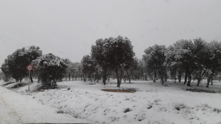 ¿La-Laponia-Finlandesa-No-Monte-nevado-Palencia-(Galería)-ze