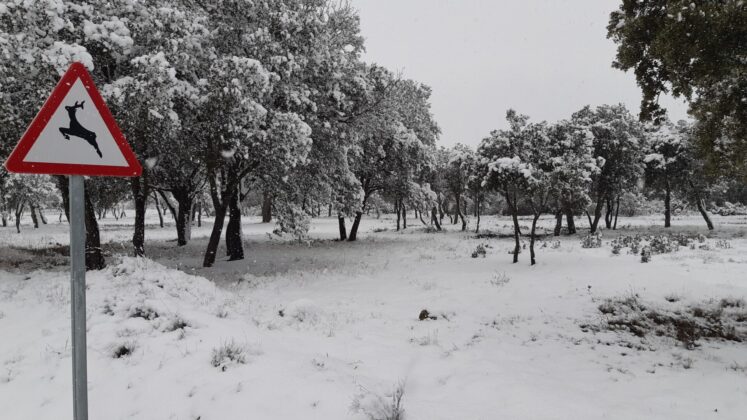 ¿La-Laponia-Finlandesa-No-Monte-nevado-Palencia-(Galería)-ze