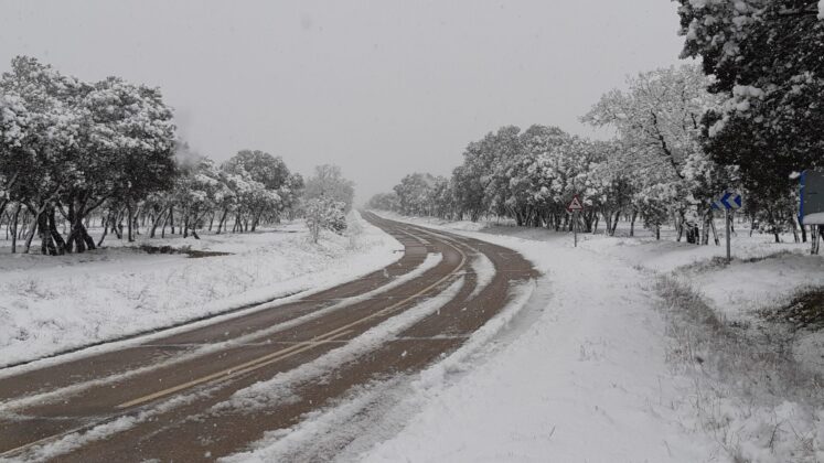 ¿La-Laponia-Finlandesa-No-Monte-nevado-Palencia-(Galería)-ze