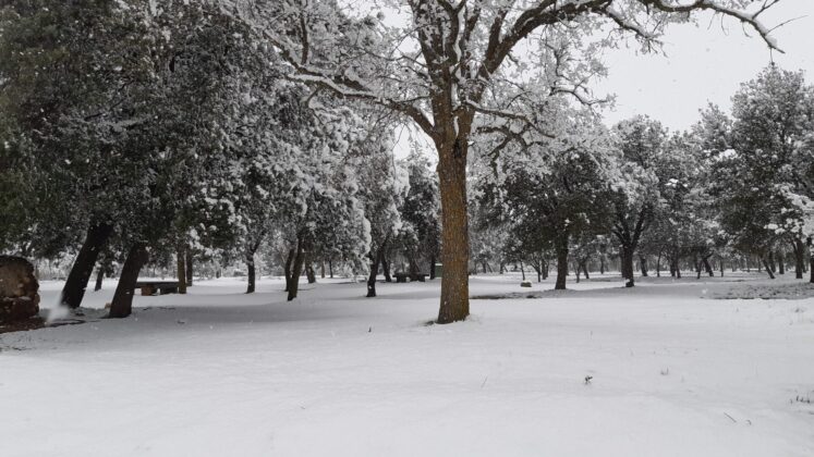 ¿La-Laponia-Finlandesa-No-Monte-nevado-Palencia-(Galería)-ze