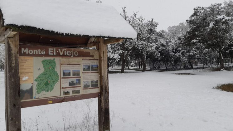 ¿La-Laponia-Finlandesa-No-Monte-nevado-Palencia-(Galería)-ze