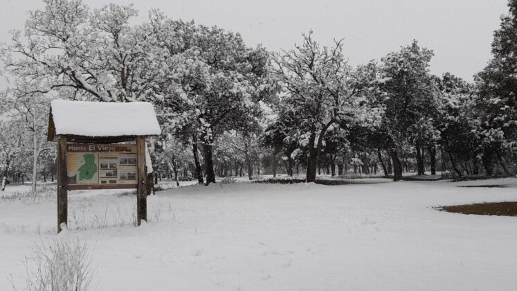 ¿La-Laponia-Finlandesa-No-Monte-nevado-Palencia-(Galería)-ze