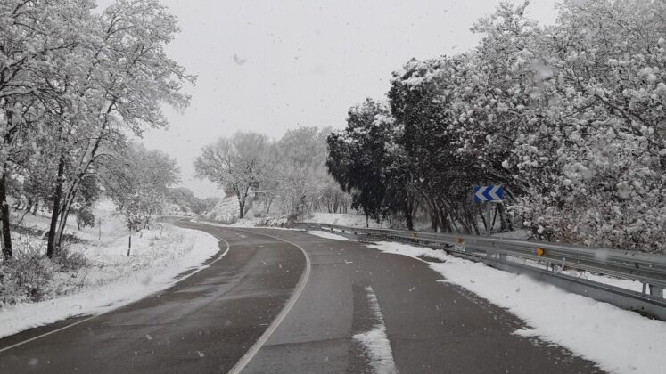 ¿La-Laponia-Finlandesa-No-Monte-nevado-Palencia-(Galería)-ze