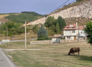 Camporredondo de Alba