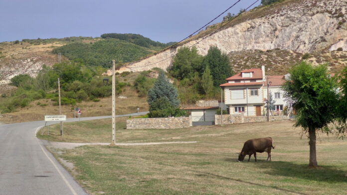 Camporredondo de Alba