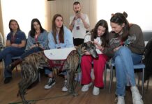 XXXVI Congreso Anual de la Asociación Estatal de Estudiantes de Enfermería en Palencia